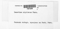 Image Associated With the Occurence